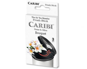 Освежитель для мусорного ведра "Bouquet" 3 sticks цена и информация | Домашние ароматы с палочками | kaup24.ee
