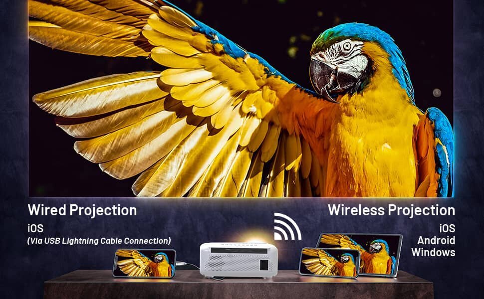 Projektor Full HD 4K 8000lm 2000:1 WiFi 2,4/5 GHz Android 9 Bluetooth 5.0 HDMI USB Zenwire e520h hind ja info | Projektorid | kaup24.ee