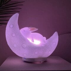 Taaslaetav LED-öövalgusti lastele Rabbit on the moon Bluetooth kõlariga цена и информация | Детские светильники | kaup24.ee