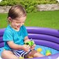 Täispuhutav bassein, 102 x 25 cm. цена и информация | Imikute mänguasjad | kaup24.ee
