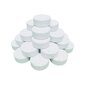 Ujuv kemikaalidosaator basseinidele + 0,5 kg multifunktsionaalsed tabletid цена и информация | Basseini puhastusvahendid | kaup24.ee