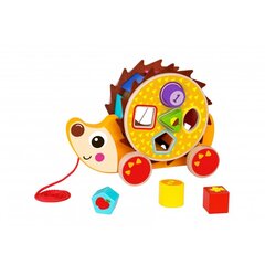 Деревянный большой тянущийся ежик с игрой Tooky Toy цена и информация | Игрушки для малышей | kaup24.ee