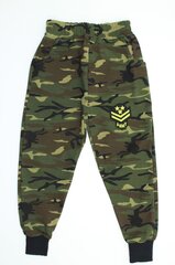 Спортивные штаны для мальчиков цена и информация | Штаны для мальчика Nini | kaup24.ee