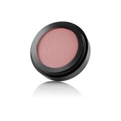 Põsepuna argaaniaõliga Paese Blush With Argan Oil 41, 5g hind ja info | Päikesepuudrid, põsepunad | kaup24.ee