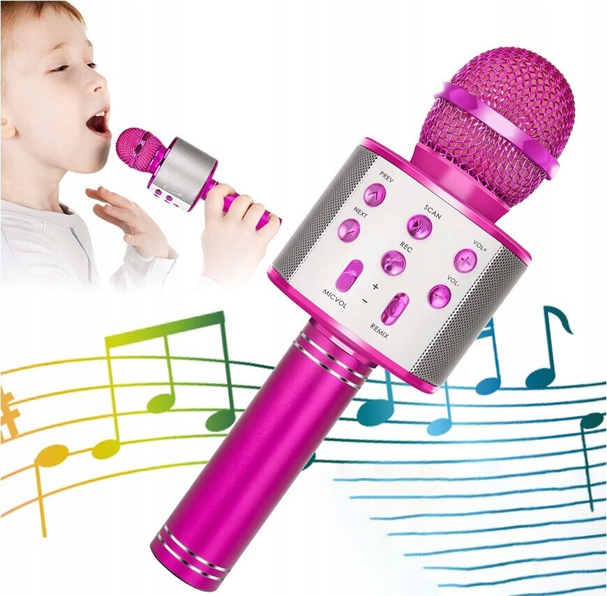 Karaokemikrofon kõlari ja ümbrisega, roosa цена и информация | Arendavad mänguasjad | kaup24.ee