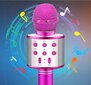 Karaokemikrofon kõlari ja ümbrisega, roosa hind ja info | Arendavad mänguasjad | kaup24.ee