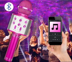 Karaokemikrofon kõlari ja ümbrisega, roosa цена и информация | Развивающие игрушки и игры | kaup24.ee