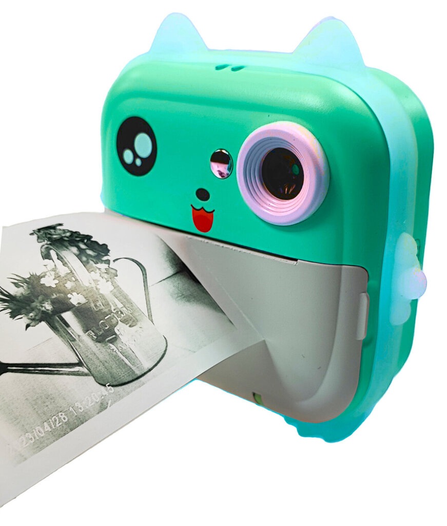Laste fotokaamera printimise funktsiooniga hind ja info | Arendavad mänguasjad | kaup24.ee