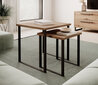 2-diivanilaua komplekt ADRK Furniture Aria, pruun hind ja info | Diivanilauad | kaup24.ee