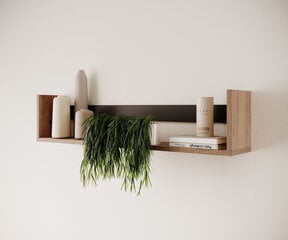 Seinariiul ADRK Furniture Aria, pruun/must цена и информация | Полки | kaup24.ee
