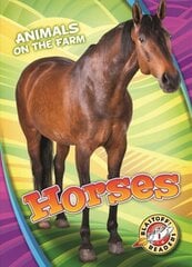 Horses цена и информация | Книги для подростков и молодежи | kaup24.ee