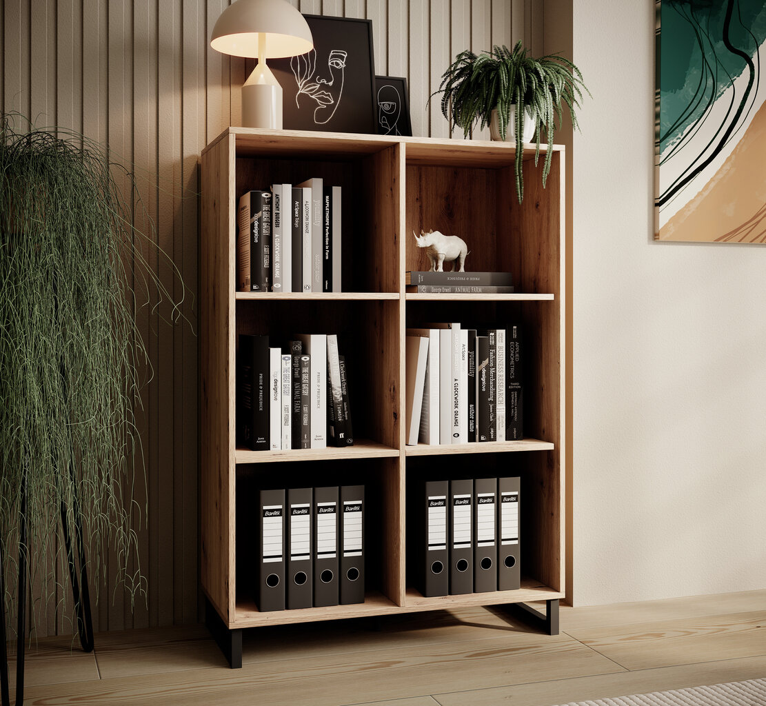 Riiul ADRK Furniture Aria, pruun/must цена и информация | Riiulid | kaup24.ee