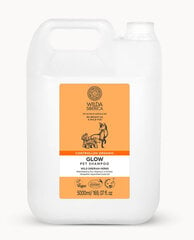 Wilda Siberica Glow Shampoo для домашнего дома мех света, 5 л. цена и информация | Косметические средства для животных | kaup24.ee