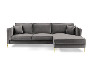 Правый угловой диван Luis 5, светло-серый/золотой цвет цена и информация | Диваны | kaup24.ee