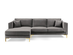 Левый угловой диван Luis 5, светло-серый/золотой цвет цена и информация | Диваны | kaup24.ee