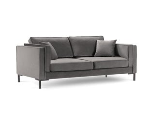 Трехместный диван Luis 3, светло-серый/черный цвет цена и информация | Диваны | kaup24.ee