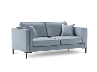Двухместный диван Luis 2, голубой/черный цвет цена и информация | Диваны | kaup24.ee