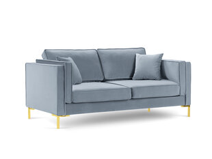 Двухместный диван Luis 2, голубой/золотистый цвет цена и информация | Диваны | kaup24.ee