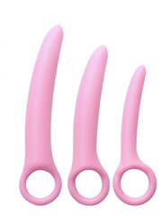 Silikoonist roosa anaaltapi komplekt 3 tk hind ja info | Sekslelude komplektid | kaup24.ee