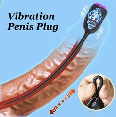 Vibreeriv uretraalne pulk Vibrating Penis Plug 5 mm hind ja info | BDSM ja fetish | kaup24.ee