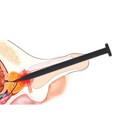 Пробка пениса для уретры 6 мм цена и информация | БДСМ и фетиш | kaup24.ee