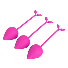 Tupepallid Kegel Dream, 3 tk hind ja info | Vaginaalkuulid | kaup24.ee