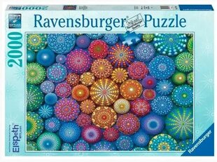 2D puzzle 2000 elemendid Rainbow Mandalas hind ja info | Pusled | kaup24.ee