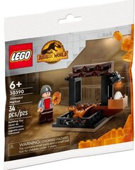 Blocks Jurassic World 30390 dinosauruste turg hind ja info | Klotsid ja konstruktorid | kaup24.ee