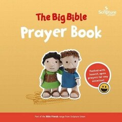 Big Bible Prayer book цена и информация | Книги для малышей | kaup24.ee