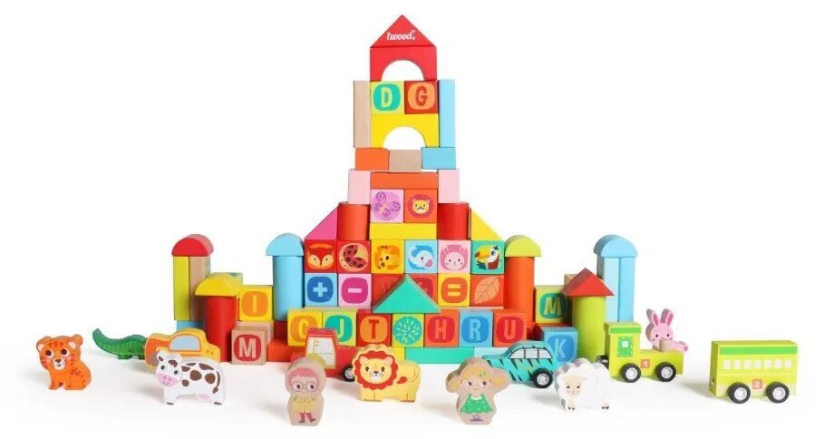 Zoo Puidust klotsid 100 tükki hind ja info | Imikute mänguasjad | kaup24.ee