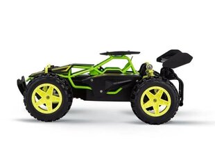 Автомобиль-багги RC Lime 2,4 ГГц цена и информация | Игрушки для мальчиков | kaup24.ee