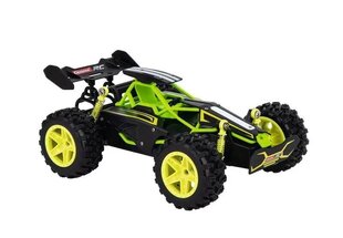 Автомобиль-багги RC Lime 2,4 ГГц цена и информация | Игрушки для мальчиков | kaup24.ee