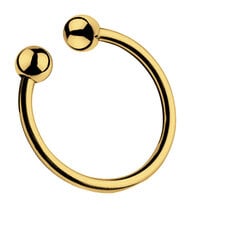 Кольцо для члена из нержавеющей стали Gold Ring 28 mm цена и информация | БДСМ и фетиш | kaup24.ee