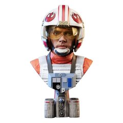 Star Wars IV 3D 1/2 Luke'as Skywalkeris (X-Wing Pilot) цена и информация | Атрибутика для игроков | kaup24.ee