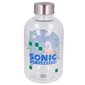 Sonic the Hedgehog klaaspudel 620ml hind ja info | Joogipudelid | kaup24.ee