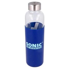 Соник стеклянная бутылка с силиконовым покрытием 585мл цена и информация | Фляги для воды | kaup24.ee