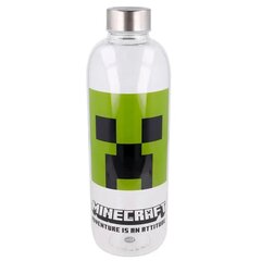 Minecraft, 1030 ml hind ja info | Fännitooted mänguritele | kaup24.ee