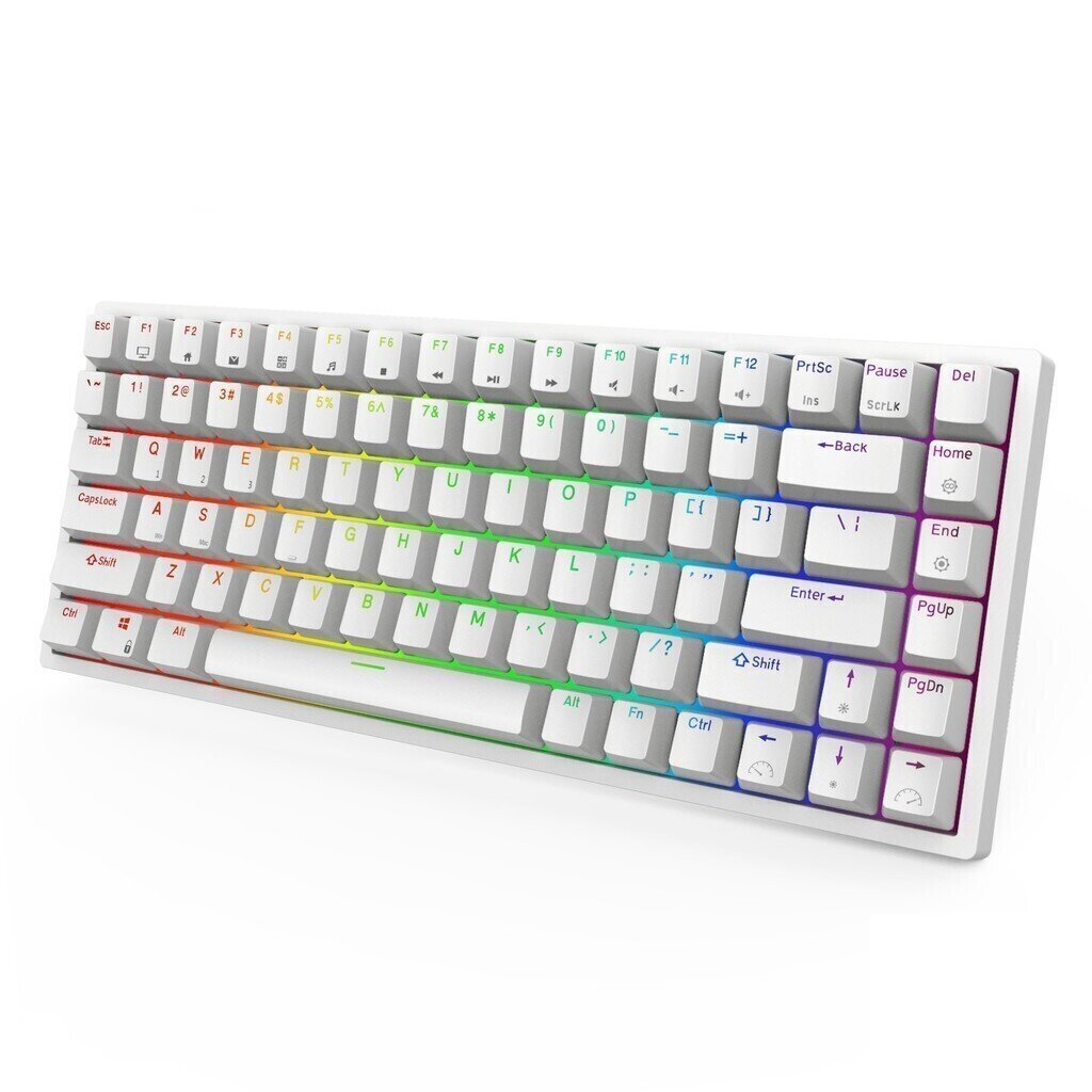 Royal Kludge RK84 Blue Switches hind ja info | Klaviatuurid | kaup24.ee