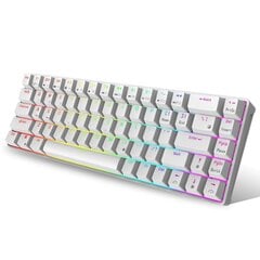 Royal Kludge RK G68, Brown switches, Белый цена и информация | Клавиатура с игровой мышью 3GO COMBODRILEW2 USB ES | kaup24.ee