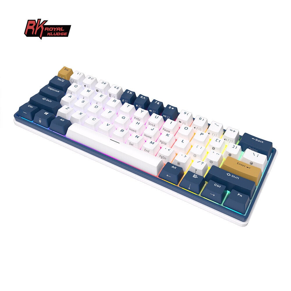 Klaviatuur Royal Kludge RK61 Plus TKL, 60%, Hot-swap, Brown Switches, US, Valge/Sinine hind ja info | Klaviatuurid | kaup24.ee