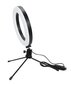 LED selfie lamp + statiiv 16cm hind ja info | Fotovalgustuse seadmed | kaup24.ee