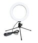 LED selfie lamp + statiiv 16cm hind ja info | Fotovalgustuse seadmed | kaup24.ee