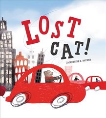 Lost Cat! цена и информация | Книги для подростков и молодежи | kaup24.ee