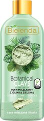 Mitsellaarvesi rasusele nahale Bielenda Botanical Clays Vegan Micellar Liquid Oily Skin, 500 ml hind ja info | Näopuhastusvahendid | kaup24.ee