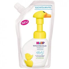 Pesuvaht Hipp BabySanft, täitepudel, 250 ml цена и информация | Мыло | kaup24.ee