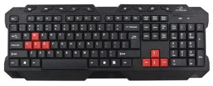 Klaviatuur Esperanza цена и информация | Клавиатура с игровой мышью 3GO COMBODRILEW2 USB ES | kaup24.ee