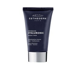 Institut Esthederm Intensive Hyaluronic Mask hüaluroonhappega 75 ml цена и информация | Маски для лица, патчи для глаз | kaup24.ee