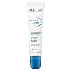 BIODERMA Atoderm Levres huulepalsam 15 ml цена и информация | Помады, бальзамы, блеск для губ | kaup24.ee