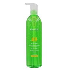 BABE 100% geeli aloe 300 ml hind ja info | Kehakreemid, kehaspreid | kaup24.ee