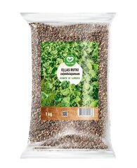 Õlirõika seemned Ikarus, 1 kg hind ja info | Murusegud | kaup24.ee